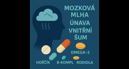 Mozková mlha, únava, vnitřní šum. Znáte to?