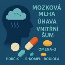 Mozková mlha, únava, vnitřní šum. Znáte to?