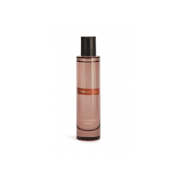Bytový parfém ve spreji s vůní ARAMAIK - 100 ml