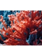 Difuzér s tyčinkami a dřevěným víčkem ve tvaru oblázku s vůní CITRUS CORAL - 2500 ml