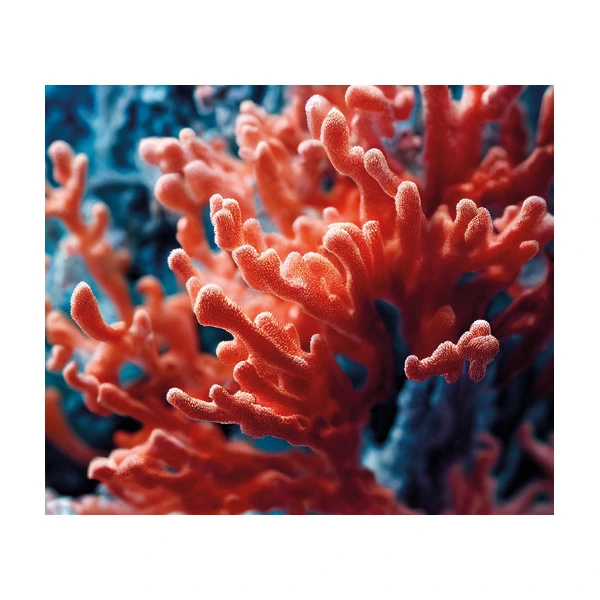 Difuzér s tyčinkami a dřevěným víčkem ve tvaru oblázku s vůní CITRUS CORAL - 5000 ml