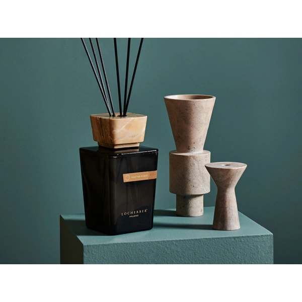 Difuzér s tyčinkami s vůní AGATHIS AMBER - 500 ml