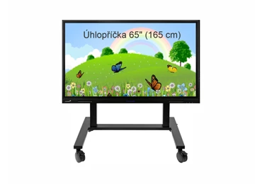 Dotykový LCD displej 65" na stojanu