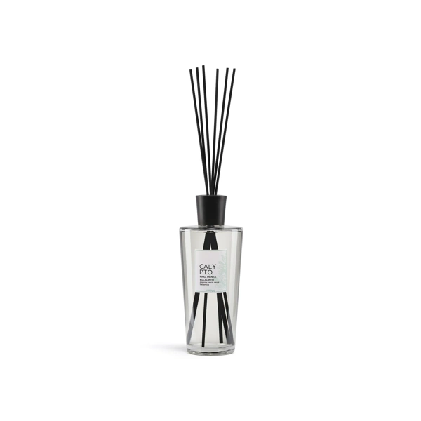ERBAL Aroma difuzér s tyčinkami s vůní CALYPTO - 2500 ml