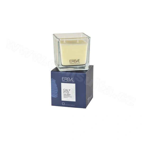 ERBAL Vonná svíčka v čirém skle s vůní CALYPTO - 210 g