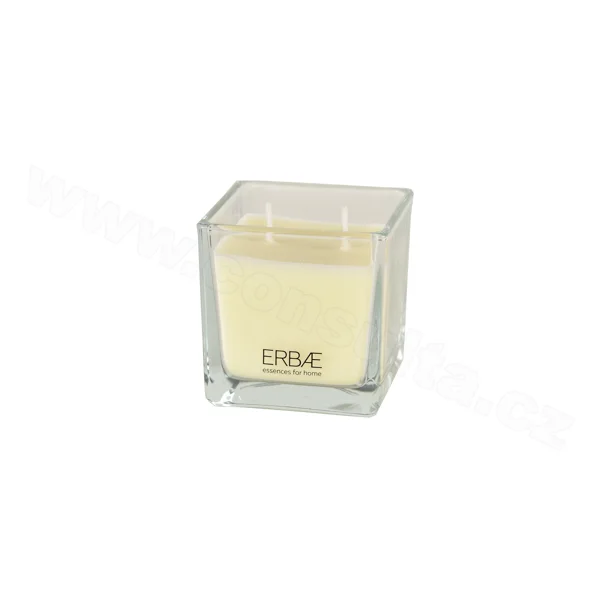 ERBAL Vonná svíčka v čirém skle s vůní KASMIRI - 210 g