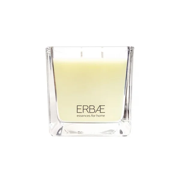 ERBAL Vonná svíčka v čirém skle s vůní RAMAN - 210 g