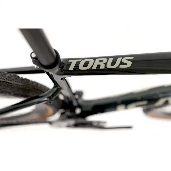 Gravel kolo Isaac Torus Xplore Moss Green GRX825 Di2 2x12-L