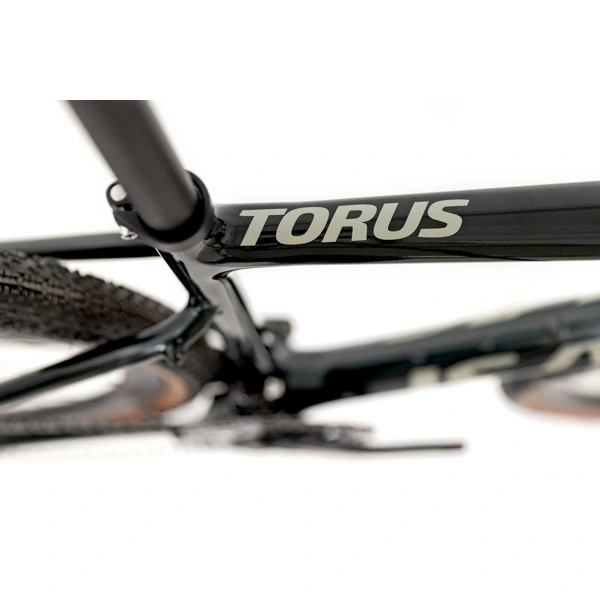 Gravel kolo Isaac Torus Xplore Moss Green GRX825 Di2 2x12-XXL