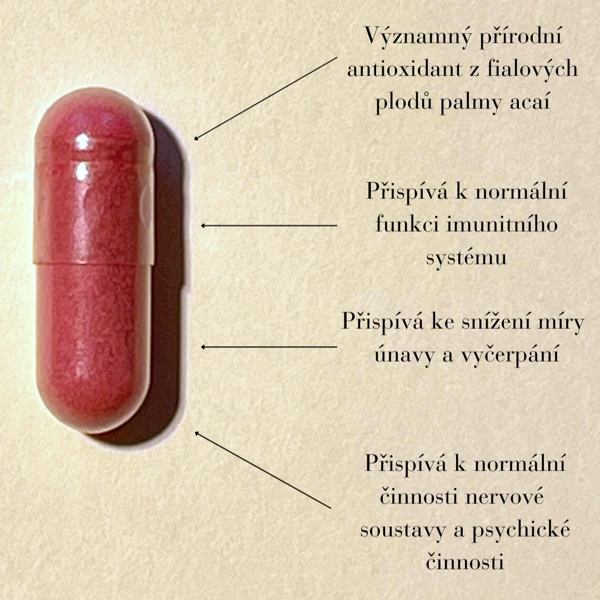 Green idea Acai berry bylinný extrakt - tobolky 60 ks