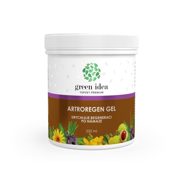 Green idea Artroregen masážní gel 250 ml