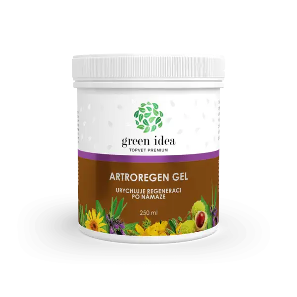 Green idea Artroregen masážní gel 250 ml
