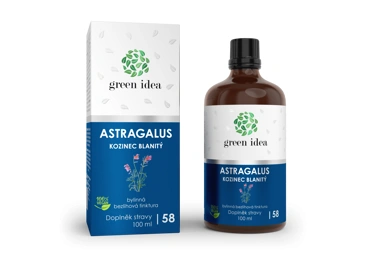 Green idea Astragalus - bezlihová tinktura 100 ml