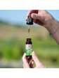 Green idea CBD olej 10 % 10 ml