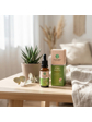 Green idea CBD olej 10 % 10 ml