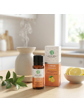 Green idea Citron - 100% silice 10 ml