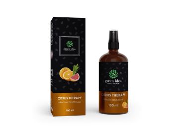 Green idea CITRUS THERAPY - přírodní osvěžovač vzduchu 100 ml
