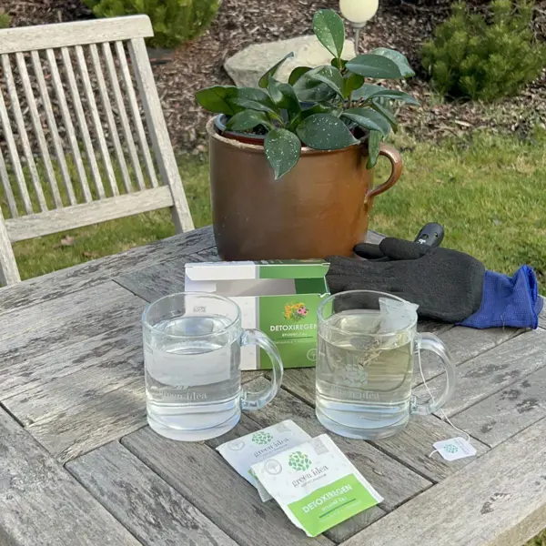 Green idea Detoxiregen - bylinný čaj 20 ks