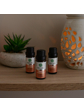Green idea Kosodřevina - 100% silice 10 ml
