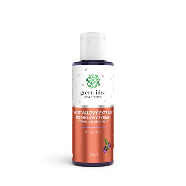 Green idea Kostivalový extrakt SYMPHYTUM OFFICINALE 100 ml