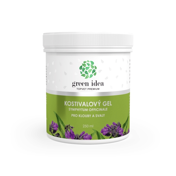 Green idea Kostivalový masážní gel 250 ml