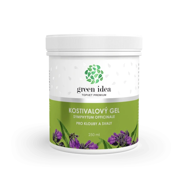 Green idea Kostivalový masážní gel 250 ml