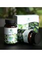 Green idea LONGEVITY ADAPTO GREEN tobolky 90 ks