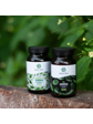 Green idea LONGEVITY TL GREEN tobolky 90 ks
