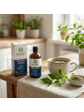 Green idea Právenka latnatá - bezlihová tinktura 100 ml