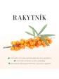 Green idea Rakytníkový sirup - třtinový 250 ml