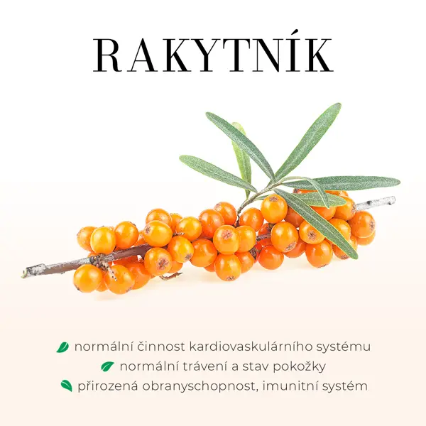 Green idea Rakytníkový sirup - třtinový 250 ml