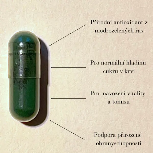 Green idea Spirulina bylinný extrakt - tobolky 60 ks
