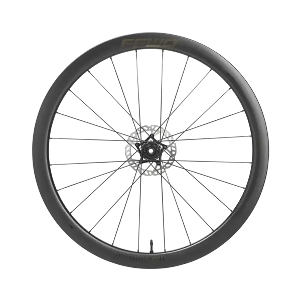 Karbonová kola RYOT44 V2 (44 mm), DT240 2:1 EXP, plášť - SRAM XDR 12sp