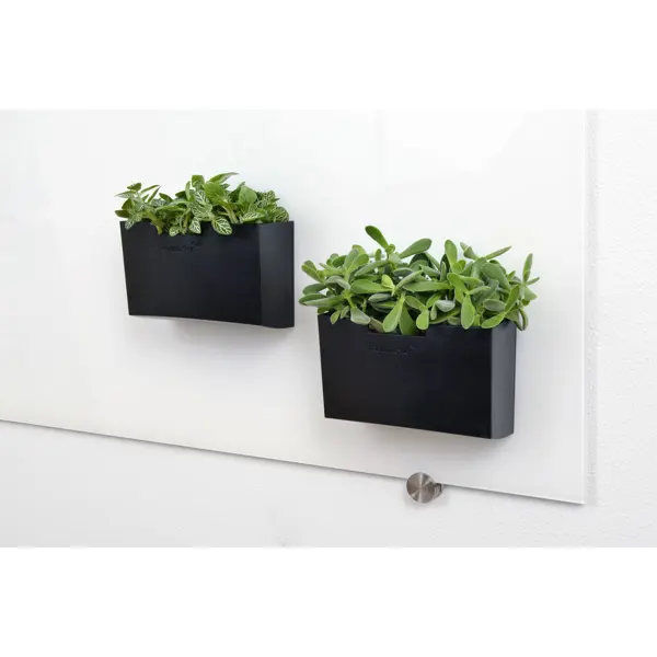 Magnetický držák na příslušenství pro skleněné tabule, Black