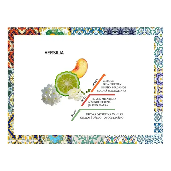 Rudy Profumi Hygienický sprej na ruce s vůní VERSILIA - 50 ml