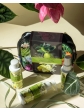 Rudy Profumi (Nature&Arome) Dárková sada s vůní BERGAMOT - sprch. gel 100 ml + tělov. krém 100 ml + parf. sprej 100 ml