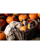 Svíčka Vellutier velká, Spiced Pumpkin Soufflé