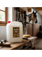 Topvet Pantenol šampon pro koně 5 l 5000 ml