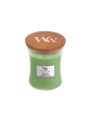 Vonná svíčka s vůní Hemp & Ivy, skleněná váza střední - 275 g